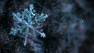 crystalized snowflake reflecting on a black background