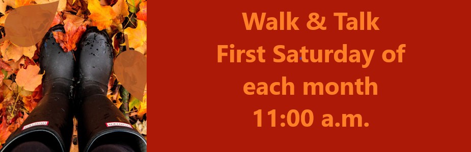 fall leaves with boots